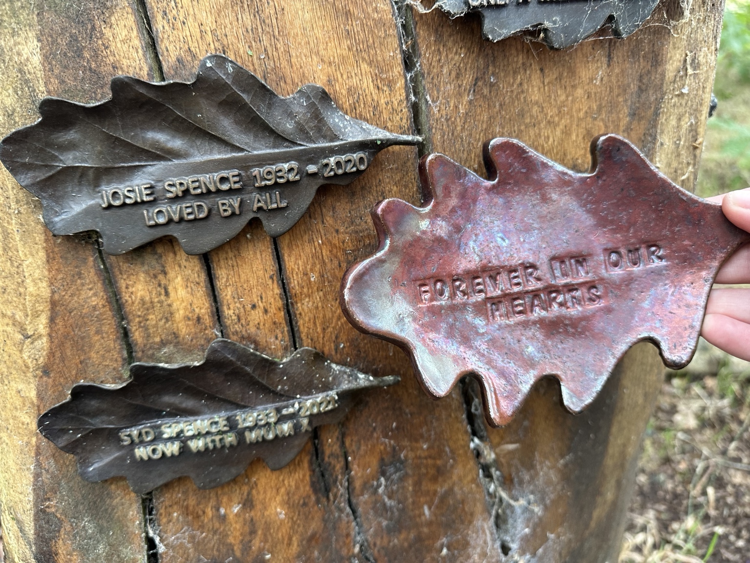 Raku oak leaf beside brass memorial leaves bearing names
